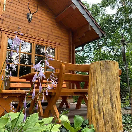 Waldhaus Eichhoernchen Tatil Evi