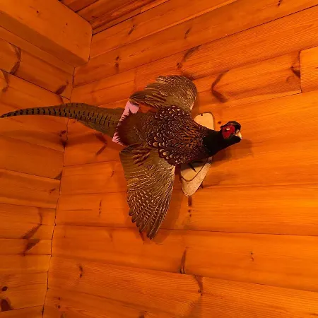 Waldhaus Eichhoernchen * Bad Schmiedeberg