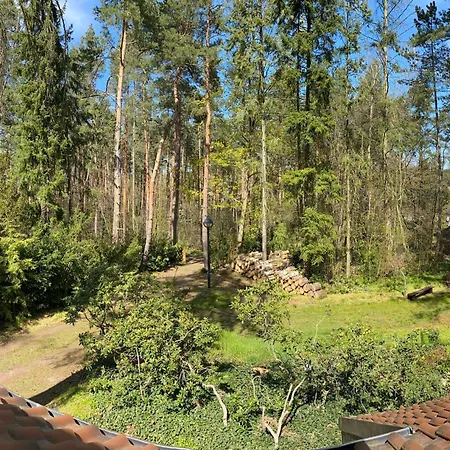 Waldhaus Eichhoernchen *