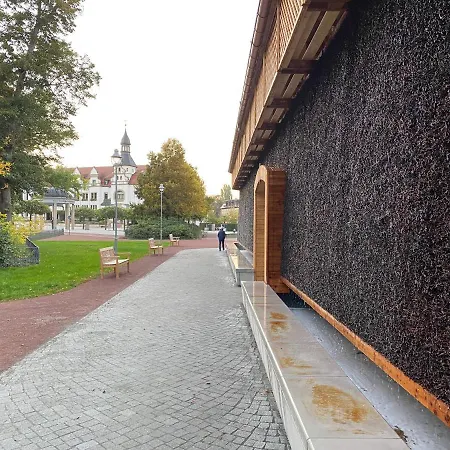 Waldhaus Eichhoernchen * Bad Schmiedeberg