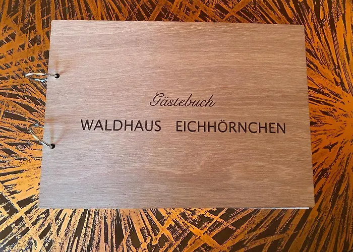 Waldhaus Eichhoernchen Bad Schmiedeberg