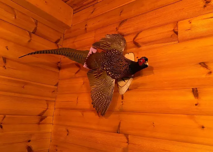 Waldhaus Eichhoernchen * Bad Schmiedeberg