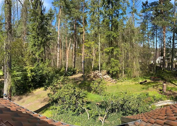 Waldhaus Eichhoernchen *