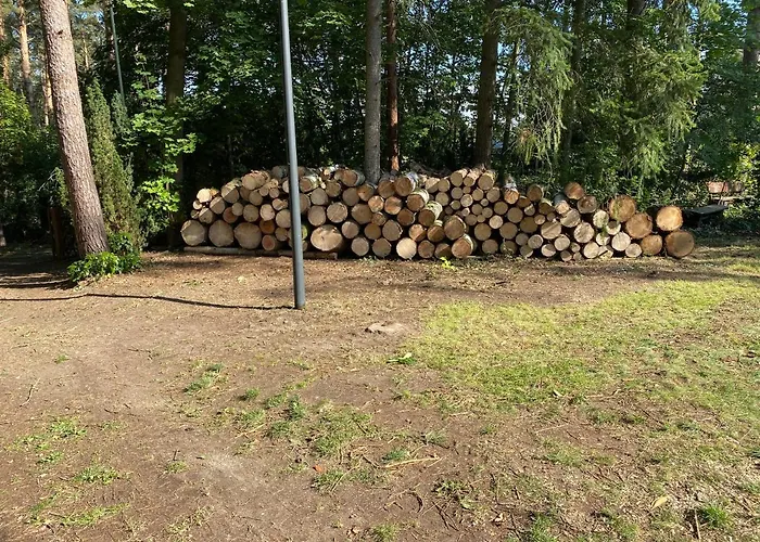 Waldhaus Eichhoernchen Bad Schmiedeberg