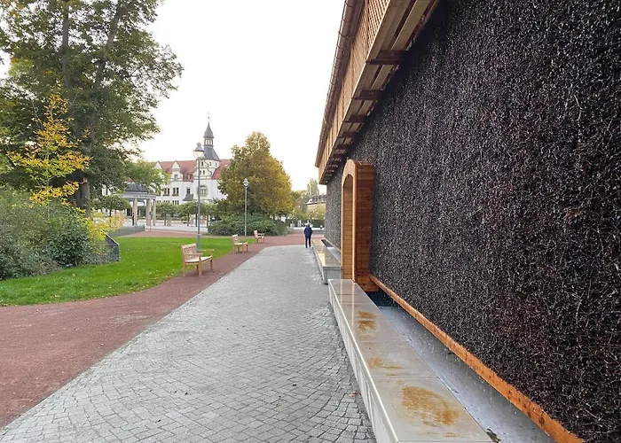 Waldhaus Eichhoernchen * Bad Schmiedeberg