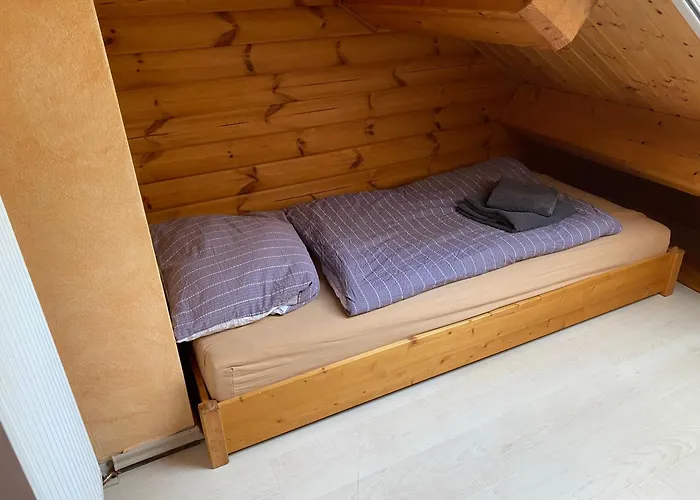 Waldhaus Eichhoernchen *