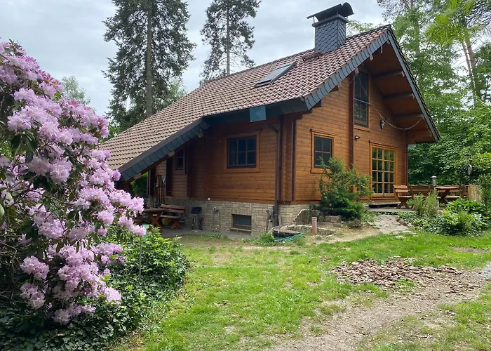 Waldhaus Eichhoernchen Bad Schmiedeberg